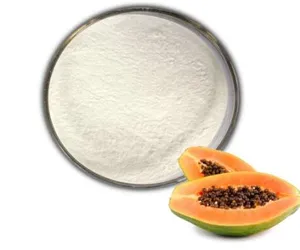 Enzima Proteasa de Papaína en Polvo en Oferta para Chefs, Restaurantes y Aplicaciones de Cocina Casera Disponible a Precio de Mayoreo - Product Image 5