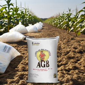 ถุงซิปพิมพ์แบบยืดหยุ่นสำหรับงานเกษตรบรรจุภัณฑ์ข้าวปิดผนึกด้วยความร้อนจากเวียดนาม - Product Image 6