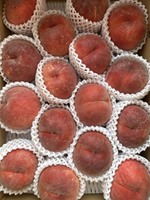 Qualité fantastique, prix remarquables, saveur sucrée et juteuse, pêche japonaise aromatique, fruit frais et exotique