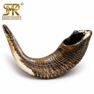 Shofar traditionnel en corne de bélier, instrument religieux en corne naturelle pour les cérémonies juives, Rosh Hashanah, Yom Kippur, prière et culte - Product Image 5