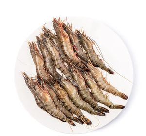 กุ้งลายเสือแช่แข็งคุณภาพดี ราคาประหยัด เนื้อแน่น รสชาติสดใหม่ รูปลักษณ์สวยงาม เหมาะสำหรับธุรกิจอาหาร - Product Image 6