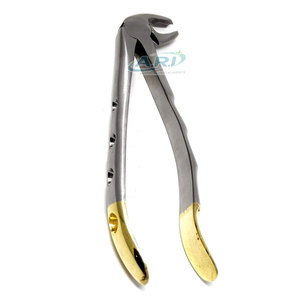 Pinzas Quirúrgicas Dentales de Acero Inoxidable de Alta Calidad, Instrumentos para Extracción de Dientes - Product Image 6