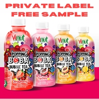 VINUT 320ML Voor versgeperste, sprankelende fruitsapdrank Vietnam dranken groothandel OEM ODM export leverancier