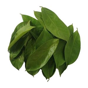 Ingredientes de Té de Hojas de Guanábana de Primera Calidad para Exportación - Product Image 1