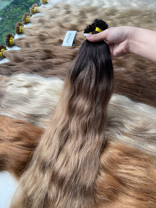 Extrémités Plates Spéciales Ombre Produits Fournisseur en Gros Kératine Préliée Extension de Cheveux Humains Vietnamiens Bruts Ondulés - Product Image 5
