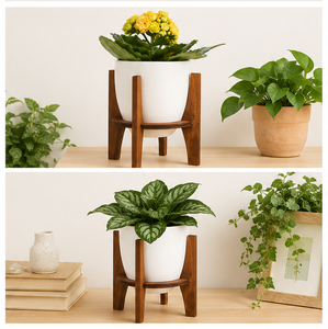 Wholesale Eco-Friendly Modern Wood Plant Stand Solid Acacia Wood Indoor Flower <b>Pot</b> <b>Holder</b> for Living Room Custom Logo - Product Image 3