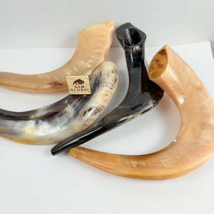Meilleur prix corne de bélier Shofar Israël casher juif Koshar yéménite Shofar corne naturelle soufflant Rosh Hashanah kasher Kudu - Product Image 5