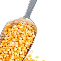 Alimentation animale de qualité supérieure en gros pour l'exportation : Gluten de maïs pour chevaux, bovins et poissons - Grade alimentaire premium, stock disponible pour acheteurs mondiaux