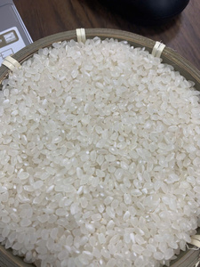 ข้าวขาวญี่ปุ่นเมล็ดสั้น ราคาดีที่สุด เนื้อนุ่ม ใยอาหารสูง คาร์โบไฮเดรตต่ำ ควบคุมน้ำหนัก ขายส่งจำนวนมาก สำหรับร้านอาหาร - Product Image 3