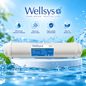 Wellsys T33 Cartucho de Filtro de Agua de Carbón Activado en Línea de 10 Pulgadas, Filtro de Repuesto para Sistemas de Ósmosis Inversa - Product Image 2