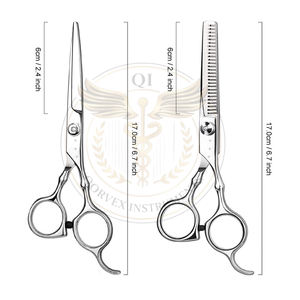 Tijeras de Peluquería Profesionales para Corte de Cabello en Casa, Kit de Tijeras de Entresacar para Barbería/Salón con Peine y Estuche para Hombres/Mujeres (Plateado) - Product Image 5