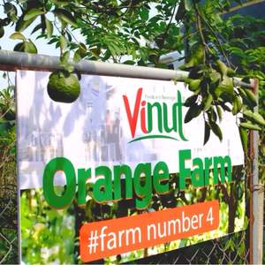 น้ำมะขามเข้มข้น 500 มล. สกัดจากผลไม้แท้ บรรจุกระป๋องอะลูมิเนียม NFC อายุการเก็บรักษา 24 เดือน ขายส่ง รับผลิตแบรนด์ส่วนตัว มีตัวอย่างฟรี - Product Image 6