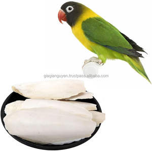 Huesos de Sepia Secos Triturados a Precio Económico, Limpios y Recortados, de Vietnam GIA GIA NGUYEN para Aves, Listos para Enviar - Product Image 5