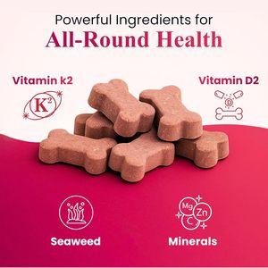 Friandises à mâcher molles au calcium biologique de haute qualité, complément alimentaire naturel pour chiens et chats, favorise des os et des dents solides, favorise la croissance rapide des jeunes animaux. - Product Image 6