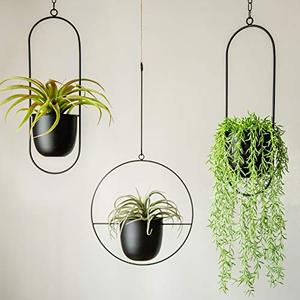 Jardinière suspendue en métal noir avec cadre rond, support moderne pour plantes d'intérieur et d'extérieur - Product Image 5