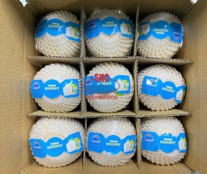 มะพร้าวพรีเมียมส่งออกโดยตรงจากเวียดนาม - Product Image 1