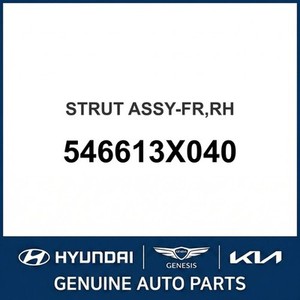 Amortiguadores y Puntales Nuevos para Elantra, Lado Derecho 546613X040 - Product Image 1