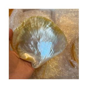 จานหอยมุกทองคำ จานใส่คาเวียร์ ทำด้วยมือ เป็นมิตรกับสิ่งแวดล้อม ถาดเปลือกหอยธรรมชาติ สำหรับเสิร์ฟของหวาน ชา ขนาด 9-11 ซม. หลากหลายแบบ - Product Image 2