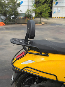 Porte-bagages arrière M-Biker VinFast Evo 200 avec dossier passager, accessoires pour moto - Product Image 1