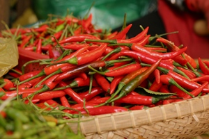 IQF Frozen <b>Red</b> <b>Hot</b> Chili Pepper Whole Natural Premium Quality Vietnam Supplier - Product Image 6