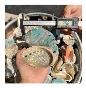 Coquille d'ormeau naturelle polie, matériau artisanal écologique du Vietnam pour la décoration intérieure et la fabrication de bijoux - Product Image 1