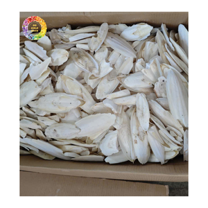 Hueso de Sepia Natural Premium para Alimentación Animal, Comida para Mascotas, Comida para Aves, Alimento para Acuicultura, Venta al Por Mayor, Proveedor de Vietnam - Product Image 4