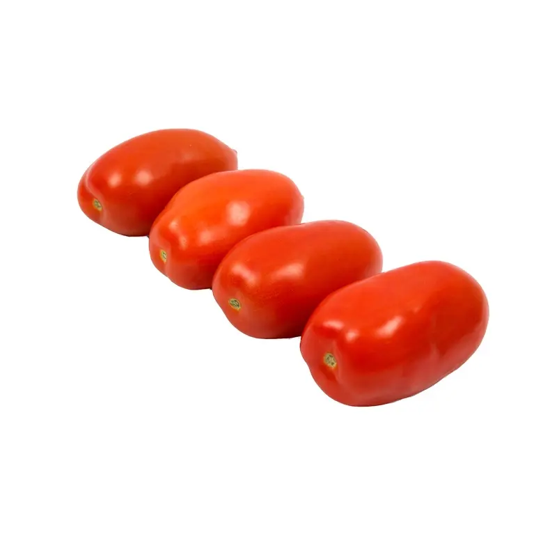 Esportazione di pomodori freschi caldi dall'italia pomodoro rosso biologico fresco tipo di origine prugna viola varietà prodotto luogo modello maturità