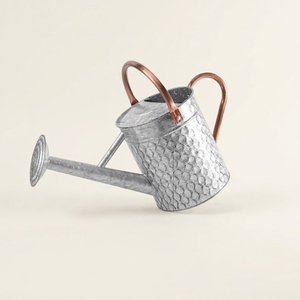 Arrosoir en métal galvanisé martelé durable avec double poignée en cuivre, style vintage, antirouille, pour plantes d'intérieur et d'extérieur - Product Image 1