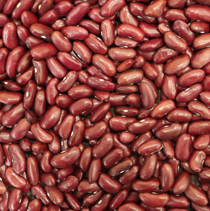 ถั่วแดงเม็ดใหญ่ ไทยแท้ อบแห้ง ปลูกแบบทั่วไป บรรจุภัณฑ์แบบขายส่ง - Product Image 6