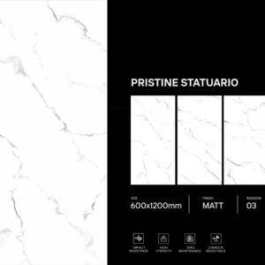 กระเบื้องพอร์ซเลนเนื้อแมตต์หรูหรา ขนาด 600x1200 มม. กระเบื้องปูพื้นและผนังขนาดใหญ่ สำหรับห้องนั่งเล่น ห้องครัว ห้องน้ำ และตกแต่งภายในเชิงพาณิชย์ - Product Image 1