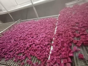 Cubes de fruit du dragon surgelés IQF en vrac, fruits tropicaux de qualité supérieure - Conservation à -18°C, durée de conservation de 24 mois, emballage sous vide 1 kg - Product Image 2