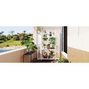 Ripiani bianchi regolabili con telaio a freddo portatile da 62 pollici grande serra per uso interno esterno per balcone interno struttura in legno - Product Image 1