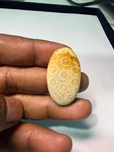 Coral Fósil Natural, Cabujón de Cristal Pulido, Gemas Minerales de Alta Calidad, Formas Mixtas, Materiales a Granel para la Fabricación de Joyería - Product Image 6