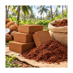 Bloques de Fibra de Coco Comprimida para Agricultura y Horticultura - Product Image 3