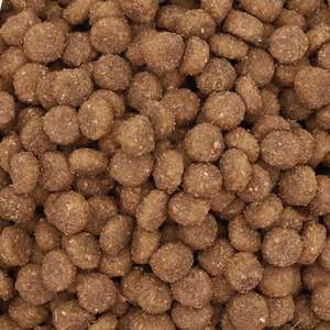 Fabricante OEM de Alimento para Perros, Fórmula Completa y Equilibrada de Carne de Res, 30% de Proteína, Alimento Seco para Perros Mayores con Digestión Sensible, Venta al Por Mayor - Product Image 6