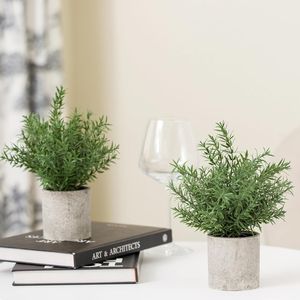2 Pack Small Fake Rosemary Potted Artificial Plants Home <b>Kitchen</b> Bathroom Farmhouse Coffee Table Dec <b>for</b> <b>Shelf</b> Desk <b>for</b> - Product Image 4