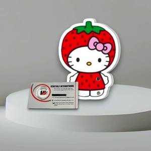 Plateau magnétique en acrylique pour extensions de cils, motif Hello Kitty avec nœud rouge pomme, marque privée, écologique, réutilisable, forme diamant carré - Product Image 6
