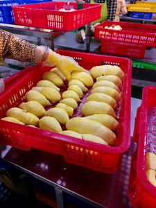 Dé rienda suelta a las maravillas congeladas de Durian de Vietnam: ¡felicidad económica, fragancia tentadora y sabor de primer nivel que gana corazones en todo el mundo! - Product Image 6