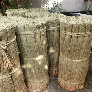 Matière première naturelle d'herbe de mer séchée, usine du Vietnam, fabricant en vrac de fibres écologiques, exportation - Product Image 1