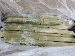 VDELTA Bâtonnets de canne à sucre frais congelés du Vietnam au goût propre et juteux - Product Image 2