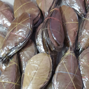 Hojas de Catappa (Almendro de la India) de 11 cm a 18 cm (4 a 7 pulgadas) 24 Unidades Accesorio para Mascotas de Acuario de Primera Calidad - Product Image 2