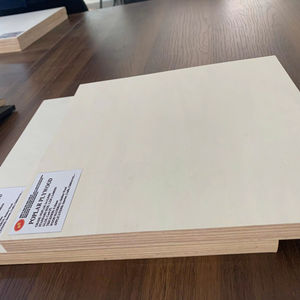 Contrachapado de Álamo de Primera Calidad de 9/15/18/21 mm de Espesor, Resistente al Agua, Ecológico, Superficie Pulida para Uso en el Hogar, Oficina y Construcción - Product Image 1