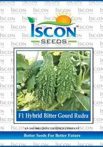Semillas de Melón Amargo Híbrido Syngenta Vallav (250 Semillas) con Material de PE y Doble Capa para Invernaderos Agrícolas - Product Image 4