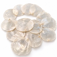 Coquilles de Capiz Naturelles Brutes en Gros, Coquilles d'Huître en Forme de Panneau de Fenêtre pour Artisanat, Bricolage, Décoration de Mariage, Bijoux, Décoration Intérieure