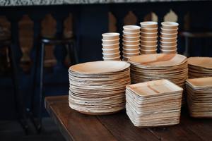 LOS MÁS VENDIDOS Platos Desechables Sostenibles Hechos con Hojas de Palma Caídas |   Vajilla sin Químicos para Eventos - Product Image 3