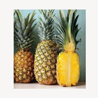 Premium verse zoete ananas tropisch fruit groothandel export leverancier uit Bangladesh Six Season Agro Traders