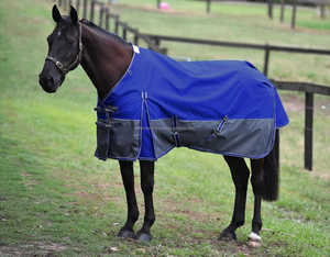 ผ้าห่มลายม้า1200ทนทานเป็นพิเศษสำหรับฤดูหนาวผ้าซับในไนล่อนสะท้อนแสงกันน้ำพรมรูปม้าที่เป็นมิตรกับสิ่งแวดล้อมและเสริมความแข็งแรง - Product Image 1