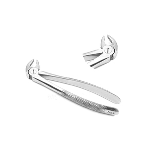 Instruments professionnels pour l'extraction dentaire : Forceps manuel en acier inoxydable pour adultes, pour une extraction efficace - Product Image 1