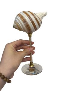 Verre à vin vintage de collection en coquillage marin naturel – Macy - Product Image 2