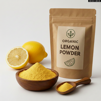 Premium gespraydroogd natuurlijk biologisch citroenfruitsappoeder, vrijvloeiend, 24 maanden houdbaarheid, zuur, goede wateroplosbaarheid, vacuüm verpakt